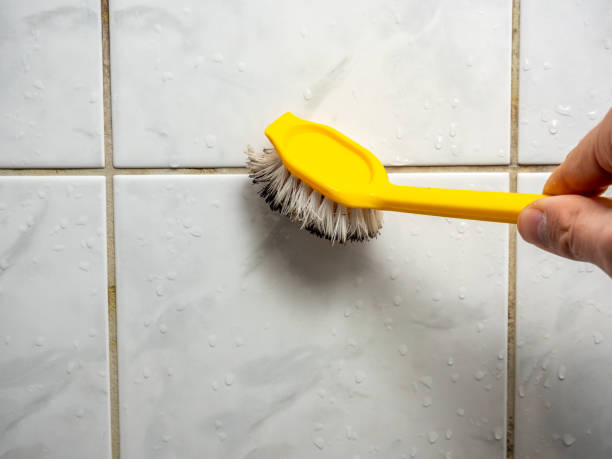 Best Black Mold Removal  in Jean Fitte, LA