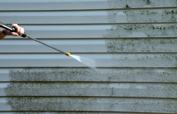 Best Mold Removal Process  in Jean Fitte, LA