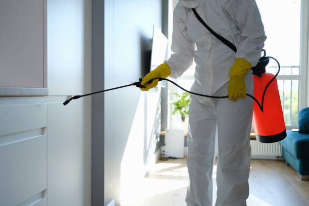 Best Mold Removal Near Me  in Jean Fitte, LA