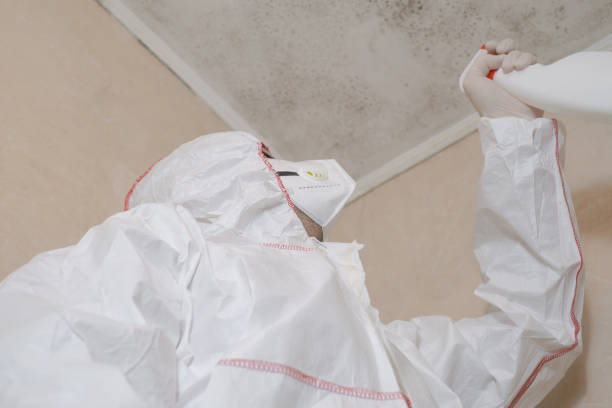 Best Mold Testing  in Jean Fitte, LA